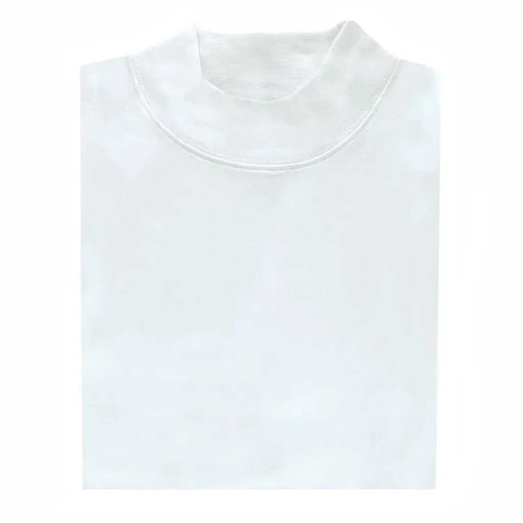 Long Sleeve Mock Turtleneck Shirt