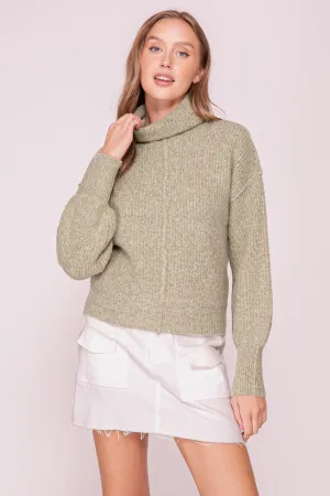 Sage Style Turtleneck Sweater